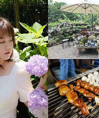 包场南山“多肉花园”,烧烤麻将耍起很欢乐