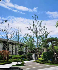 һ鶼û߳գǧɽ570ƽԺװ