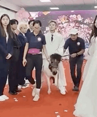 �����������һ����׬1600��