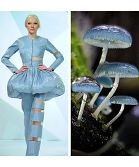 Gucci��������...�ݳ�Ʒ���峭Ϯ�����ƶȾ��ˣ���ֱһģ