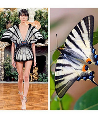 ųۡ...ݳƷ峭ϮƶȾ