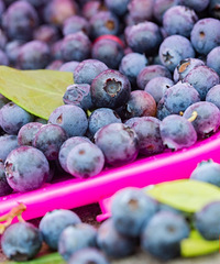 ����һ����ĩ���޺�ȥ������ݮ�����ֳ��ְ�̫����