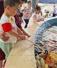 沙坪坝公园大变样,还能游船捞蝌蚪