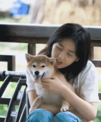 ����������������������ӷ���