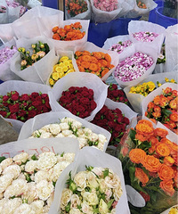 重庆最便宜的鲜花批发市场,1元1朵免费包装