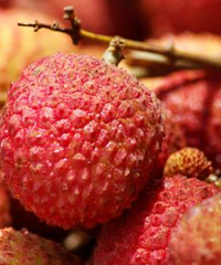 ֦Ҫ޶ԶˣС֦Ҫ˵ģ