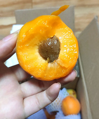 PDD��������ӣ�������һ�����ĸ���һ��