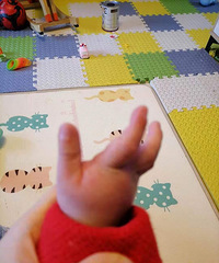 ڵóҲ̫ˣ޶һСľҧ