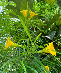 身边好几位朋友都谈到因为《天道》,人生轨道发生一些变化