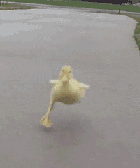 �����ǣ�61��ͯ������׼��Ҫʲô����