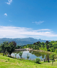 Ҹɽݮͷ𣬻ϵƺ¶Ӫտ