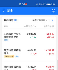给大家看看我的基金定投记录,持有两年效果很明显