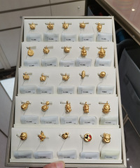 �ܴ�������6.6�ۻ��