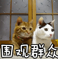 618 Ԥ۱˻ 618 ˣ