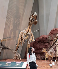 մһΣȥЩطմ򿨣ʵһ