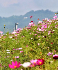 ϵǸʲôصذЩʳˣ㶼֪ô