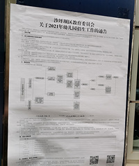 ɳƺӵһʵСѧ׶԰֪ͨˣҡ