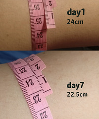 ά���ֱ۲���Ŀ���ϸ��