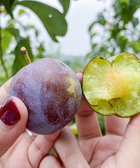 �ɽ������̫���ʣ�9.9���Ի���˳·�򿨷������ͯ��԰