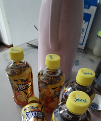 在京东上薅羊毛!1.34块6瓶冰红茶,0.01块撸的栀子花