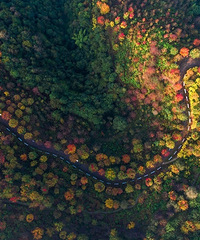 ϵľɫĲˣЩˣ㶼֪ô