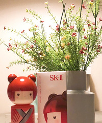 ��û���˺���һ����SK-II����ˮ�Բзۣ�18��һֱ�õ�����