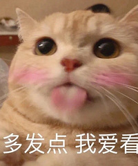 ��67ֵ���򡿳�����������30Ƭ29����������ȫ֬��һ��68