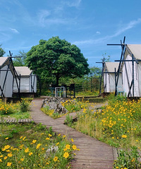 ȥƹɽ¶Ӫĳտײ̫ˣ޾