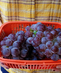 ������ˣ���ϣ�ȥ�ɽժ���ѵ�С��Ϻ����ڰ�