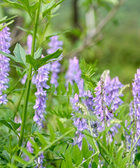 ;Σܱ߾Ȼôʺϴ޶ȼٵĵط