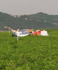 ¶Ӫˣˮ׽��Ϻ���̻�����ô�һȺ�ޣ�