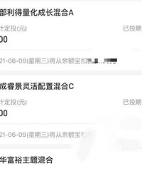 2021年了,大家坚持定投、准备长期持有的基金是哪只?