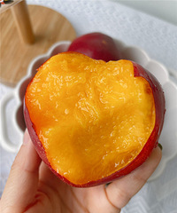 ʢ�����Ӽ����٣�ˬ���֭orϸ���������ﶼ��