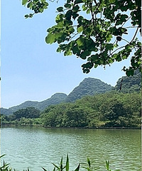 记录我的周末柳州螺蛳粉之旅