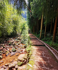 ٿõĴԲɭֹ԰ܴˣˮ