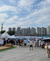 �������ռǣ������������Զ��ӵ�ζ��������ֵ��Ʊ��