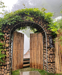 ȥ¡ֲݺܾõ񣬺òˣ˵˵