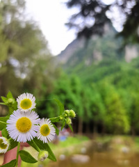 2СʱҸɭֺӹɽϣ¶ӪҰˣˮ