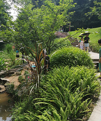 ȥβҵˣˮĵط޶һʪ궼