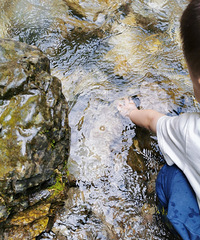 ����С��VS��ɽ�ȣ�����ˣˮ�����ݣ��������ư���