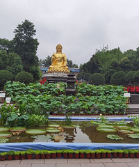 �����μǡ������£�����ʢ�����������