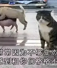 亲戚的嘴脸太恶心,每次都拉到我爸妈问何时娶儿媳妇