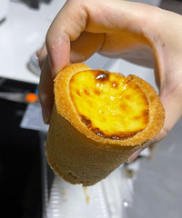 �����ܽȴ���˺�̢���������ҹ�Ȼ�����ҵĲ�