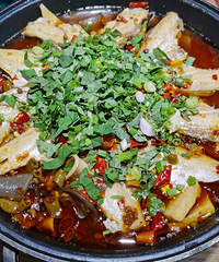 ���ڴ��������̳���ԭ����ȥ��ɽҲ���Գ���ɽ��