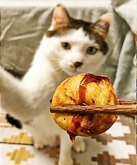 山姆最受欢迎的速食大盘点