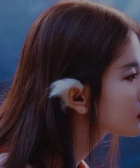 �շ����ô�ÿ���Ȼ�������Ի���