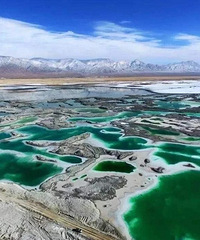 ຣˣ춫̨˶ֹͣӴο