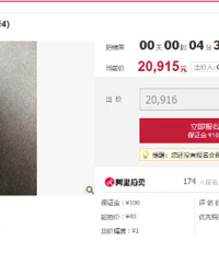拍了8000万的青眼白龙?终于知道那些辣眼的奢侈品是什么人在