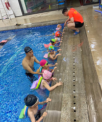 �����޶�ˣˮ����ƺƬ������Ӿ���Ҷ���̽��һȦ