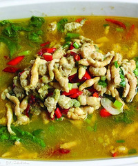 ��ȫ�޷��������Ƹ۵���ʳ����Ȼ�����˵�������